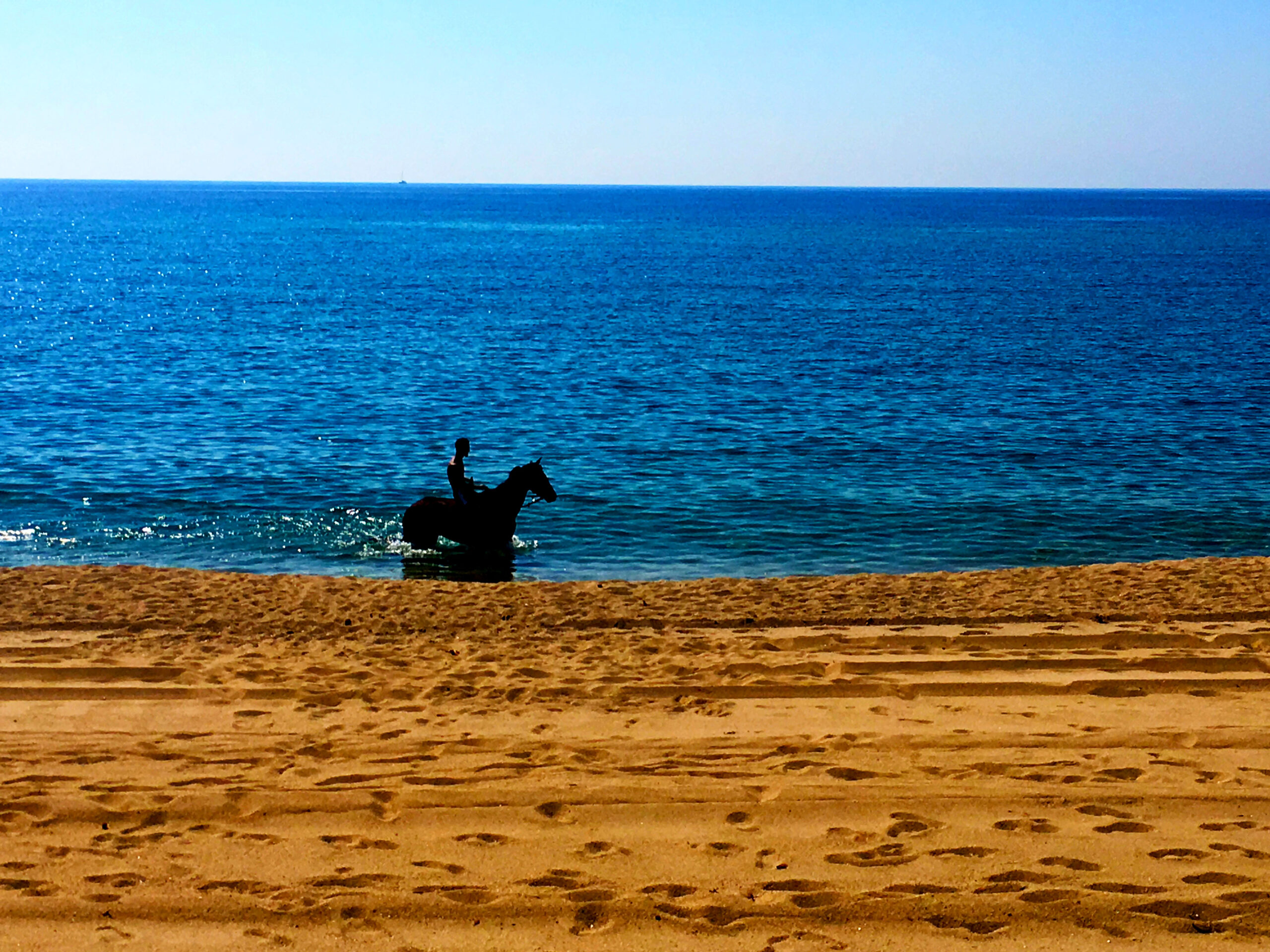 Cavaliere sulla spiaggia - Horse rider at the beach - Reiter am Strand